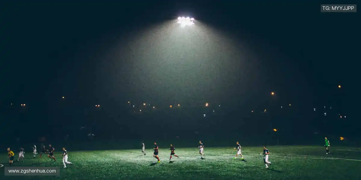 从训练到夺冠,我们与你同在!🏅